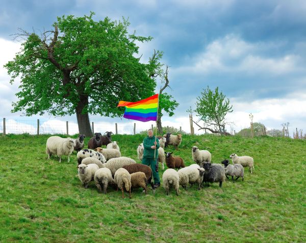 Gay Sheep Make Their High Fashion Debut in NYC